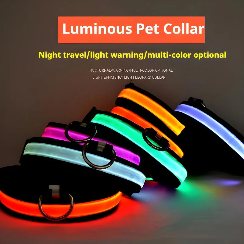 Coleira LED para Cães – Segurança e Estilo no Escuro!