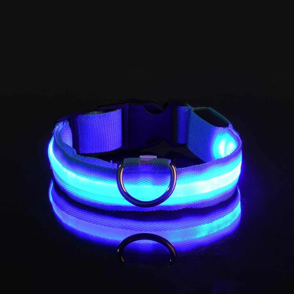Coleira LED para Cães – Segurança e Estilo no Escuro!