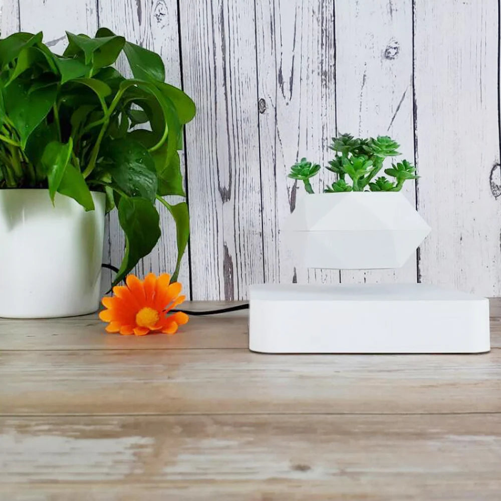 Levitating Air Bonsai Pot – A Magia da Suspensão para Sua Decoração!