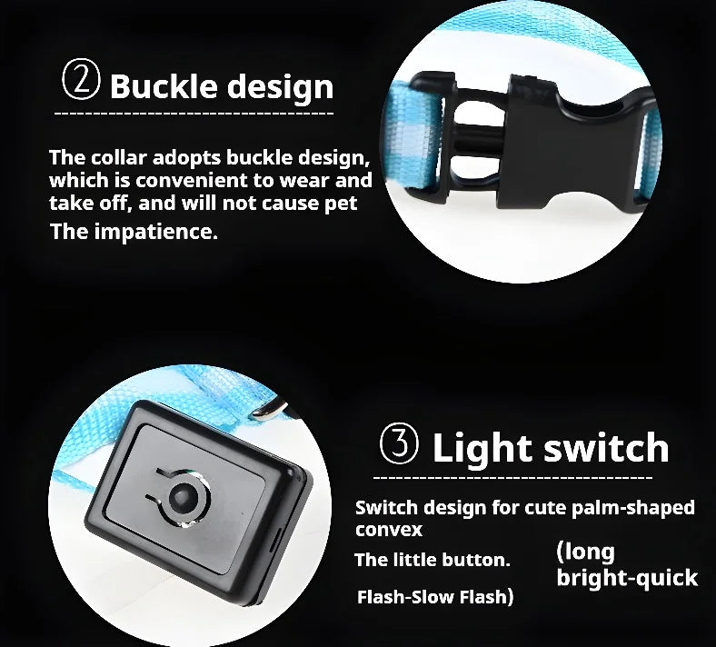 Coleira LED para Cães – Segurança e Estilo no Escuro!