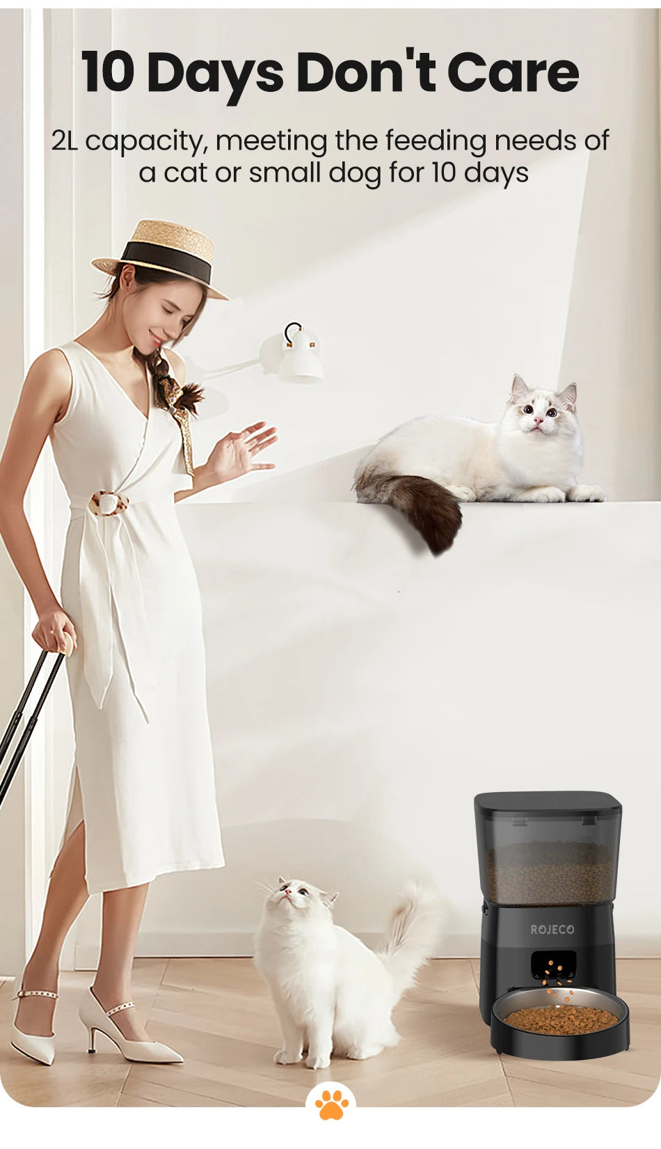 Alimentador Automático ROJECO para Gatos e Cães!