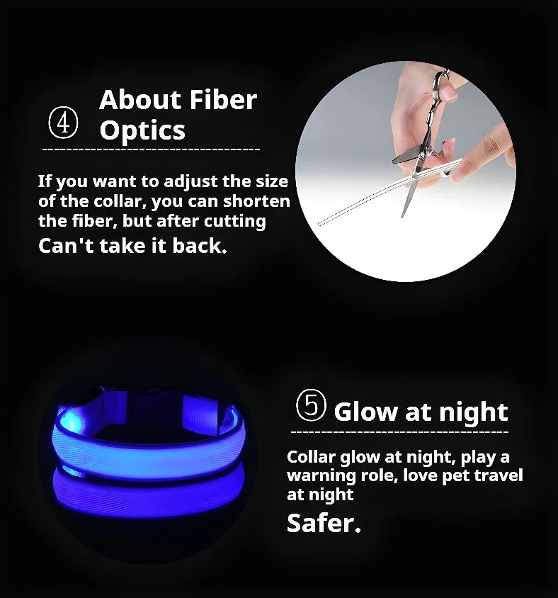 Coleira LED para Cães – Segurança e Estilo no Escuro!