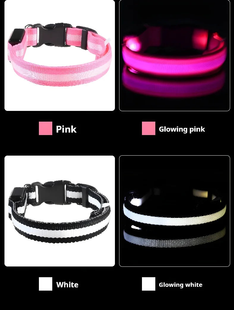 Coleira LED para Cães – Segurança e Estilo no Escuro!