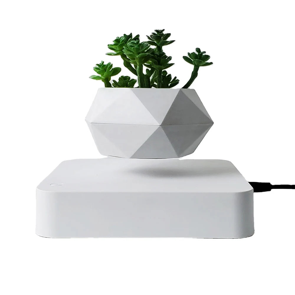Levitating Air Bonsai Pot – A Magia da Suspensão para Sua Decoração!