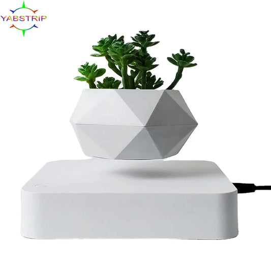 Levitating Air Bonsai Pot – A Magia da Suspensão para Sua Decoração!