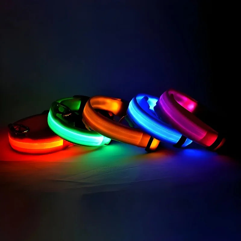 Coleira LED para Cães – Segurança e Estilo no Escuro!