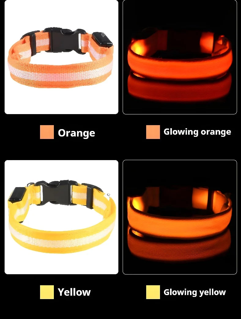 Coleira LED para Cães – Segurança e Estilo no Escuro!