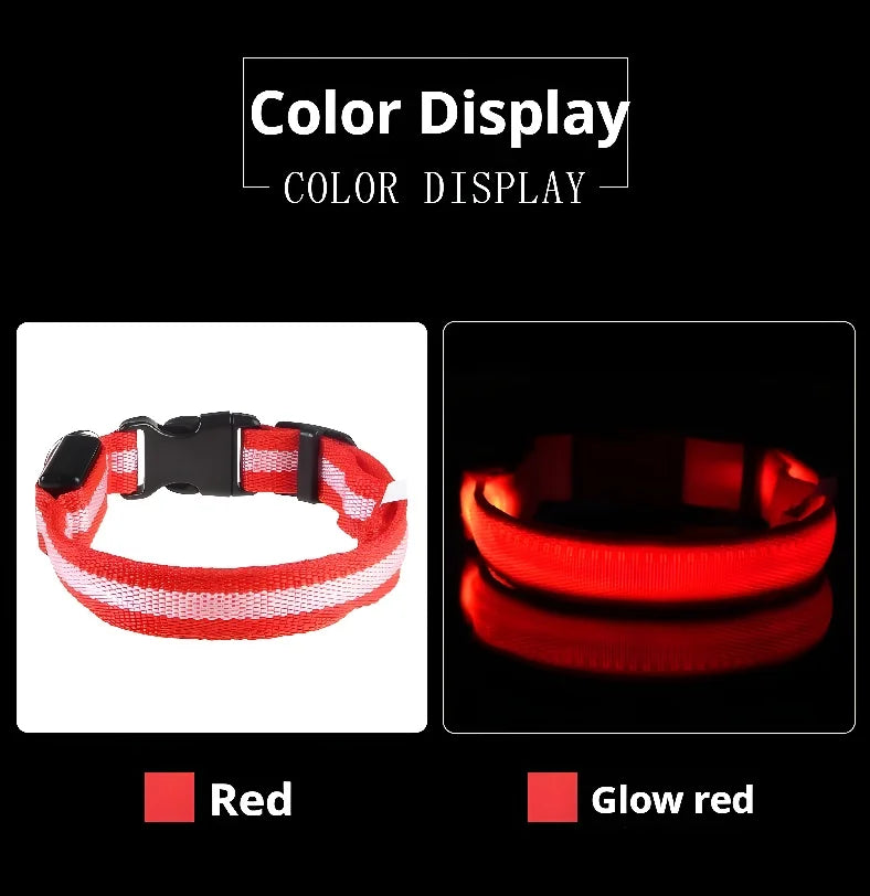 Coleira LED para Cães – Segurança e Estilo no Escuro!