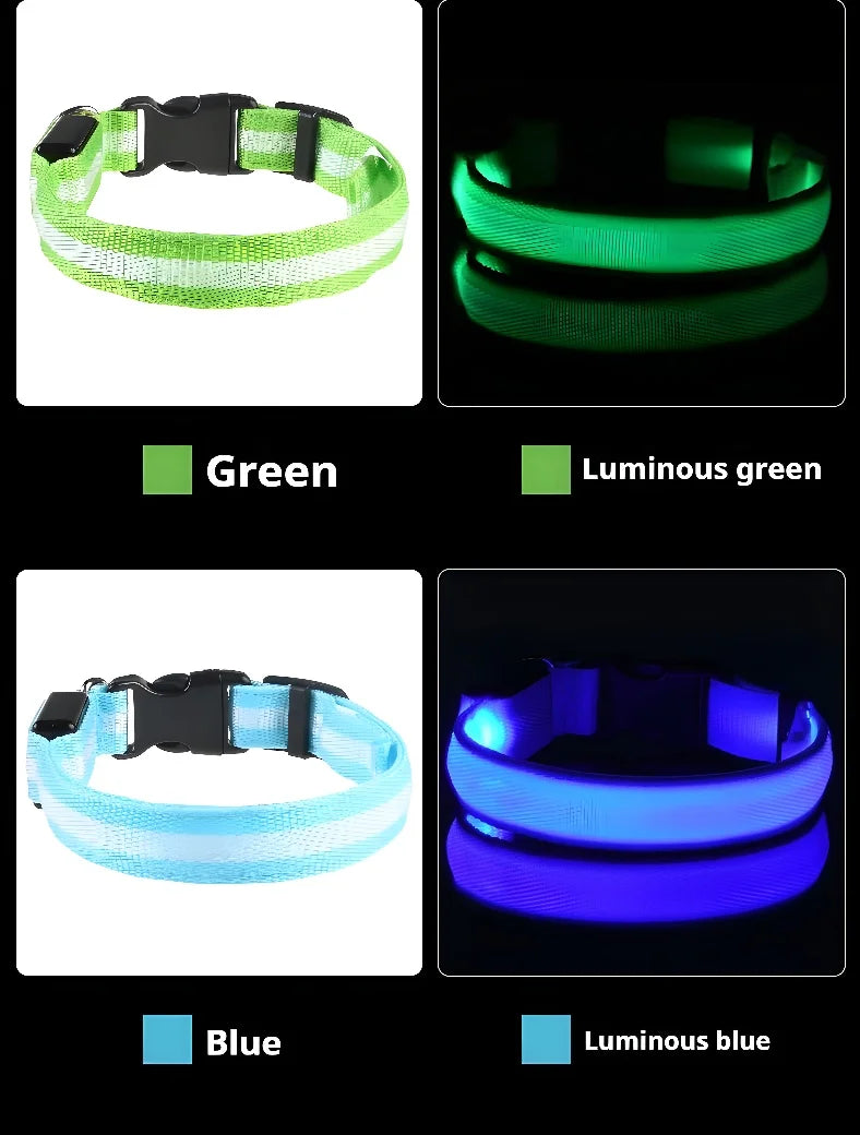 Coleira LED para Cães – Segurança e Estilo no Escuro!