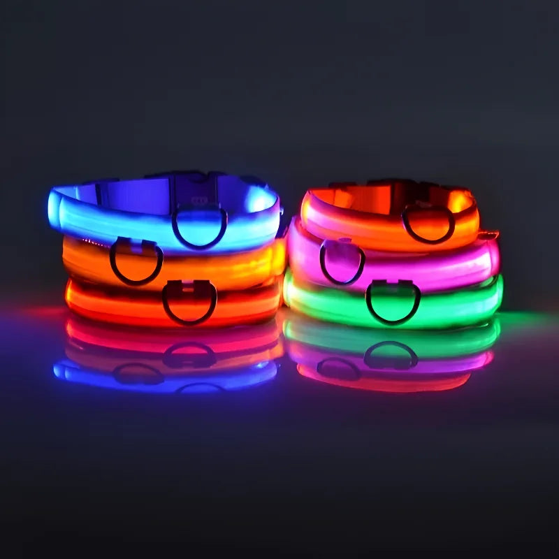 Coleira LED para Cães – Segurança e Estilo no Escuro!