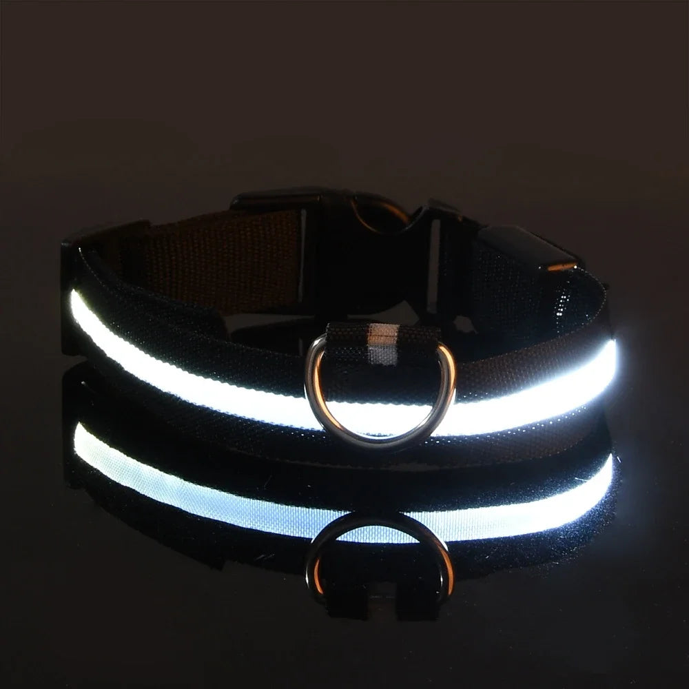 Coleira LED para Cães – Segurança e Estilo no Escuro!