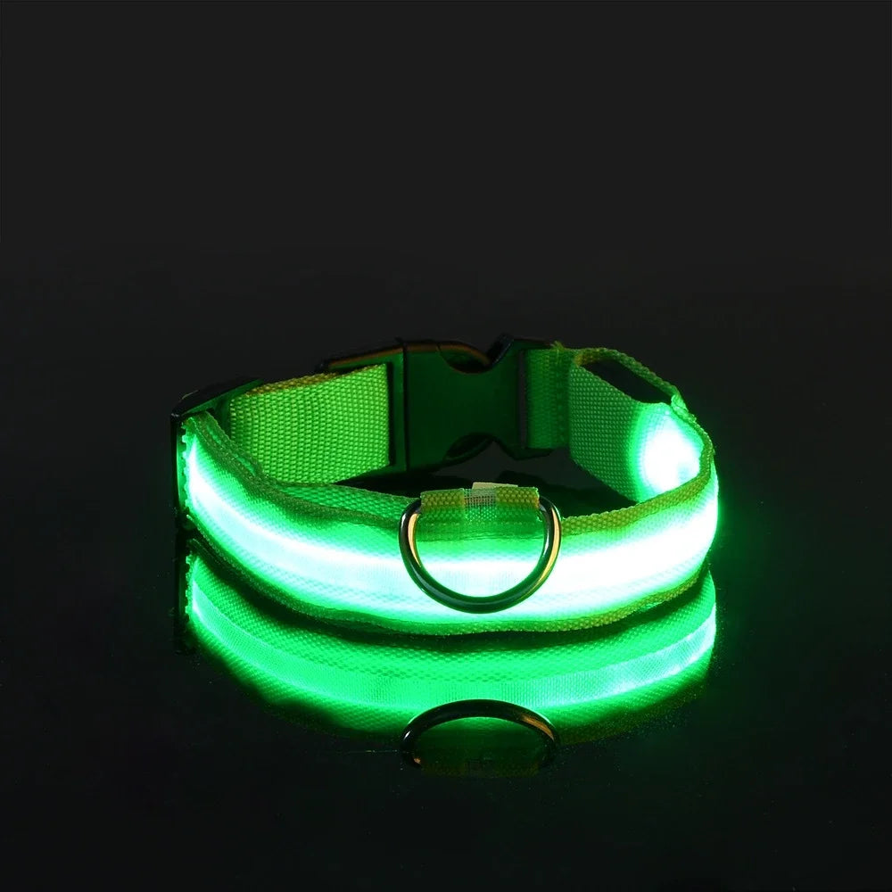 Coleira LED para Cães – Segurança e Estilo no Escuro!