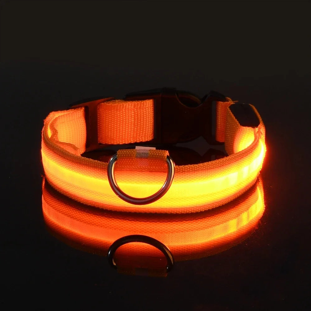 Coleira LED para Cães – Segurança e Estilo no Escuro!
