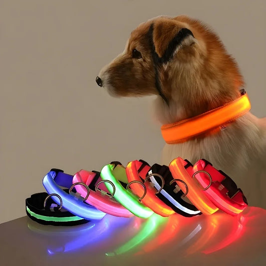 Coleira LED para Cães – Segurança e Estilo no Escuro!