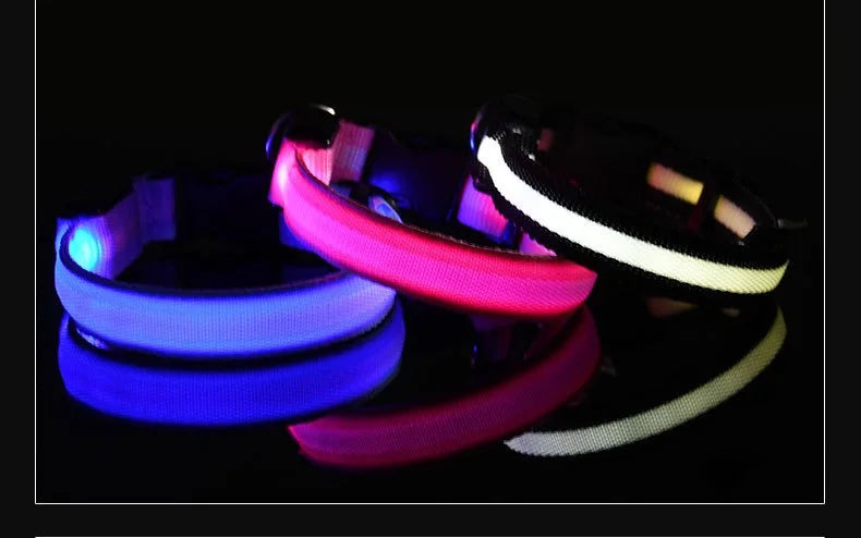 Coleira LED para Cães – Segurança e Estilo no Escuro!