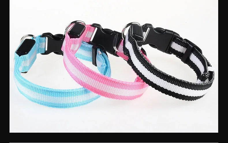 Coleira LED para Cães – Segurança e Estilo no Escuro!