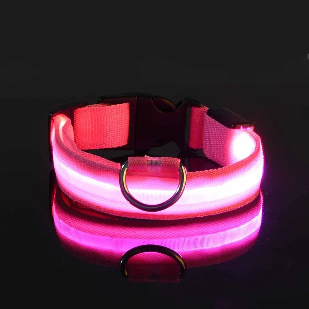 Coleira LED para Cães – Segurança e Estilo no Escuro!