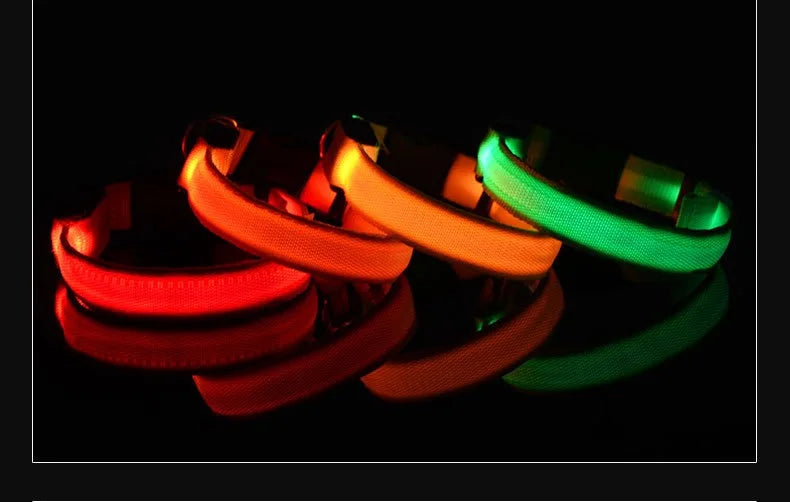Coleira LED para Cães – Segurança e Estilo no Escuro!