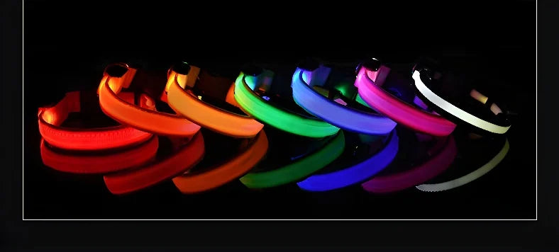 Coleira LED para Cães – Segurança e Estilo no Escuro!