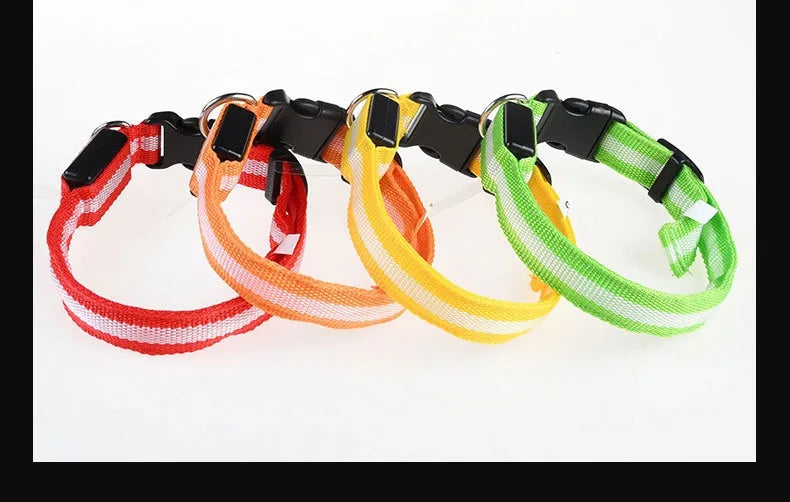 Coleira LED para Cães – Segurança e Estilo no Escuro!