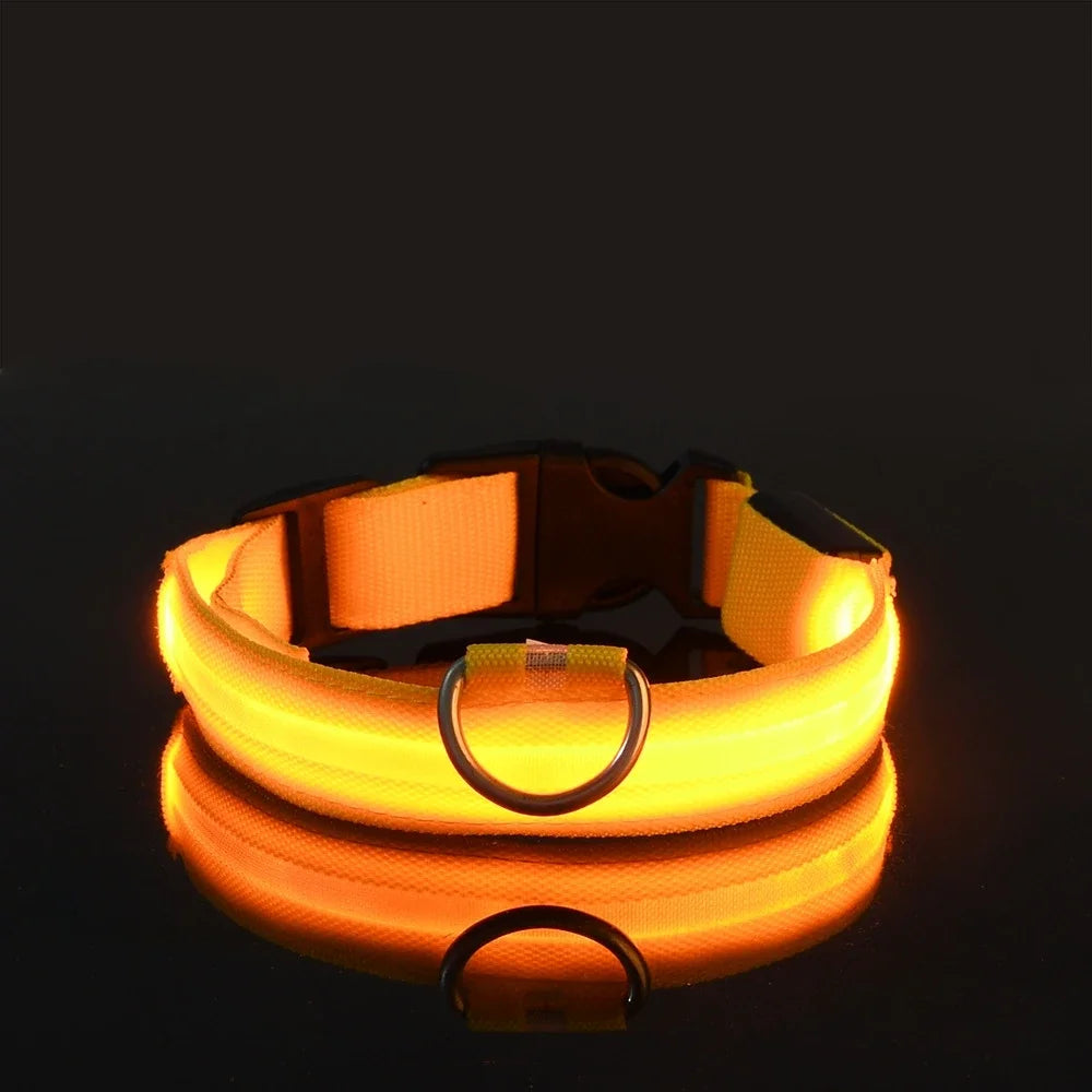 Coleira LED para Cães – Segurança e Estilo no Escuro!