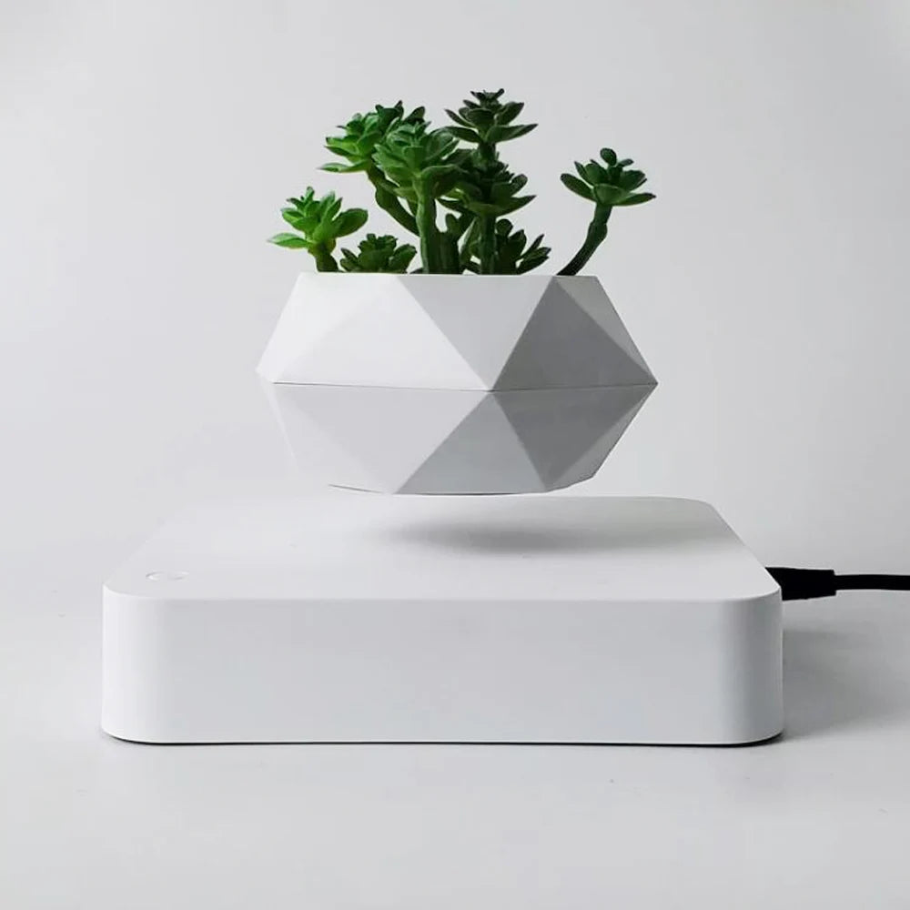 Levitating Air Bonsai Pot – A Magia da Suspensão para Sua Decoração!
